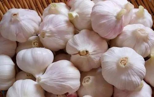 冰糖白醋腌糖蒜的比例是多少,做糖醋蒜加不加水呢