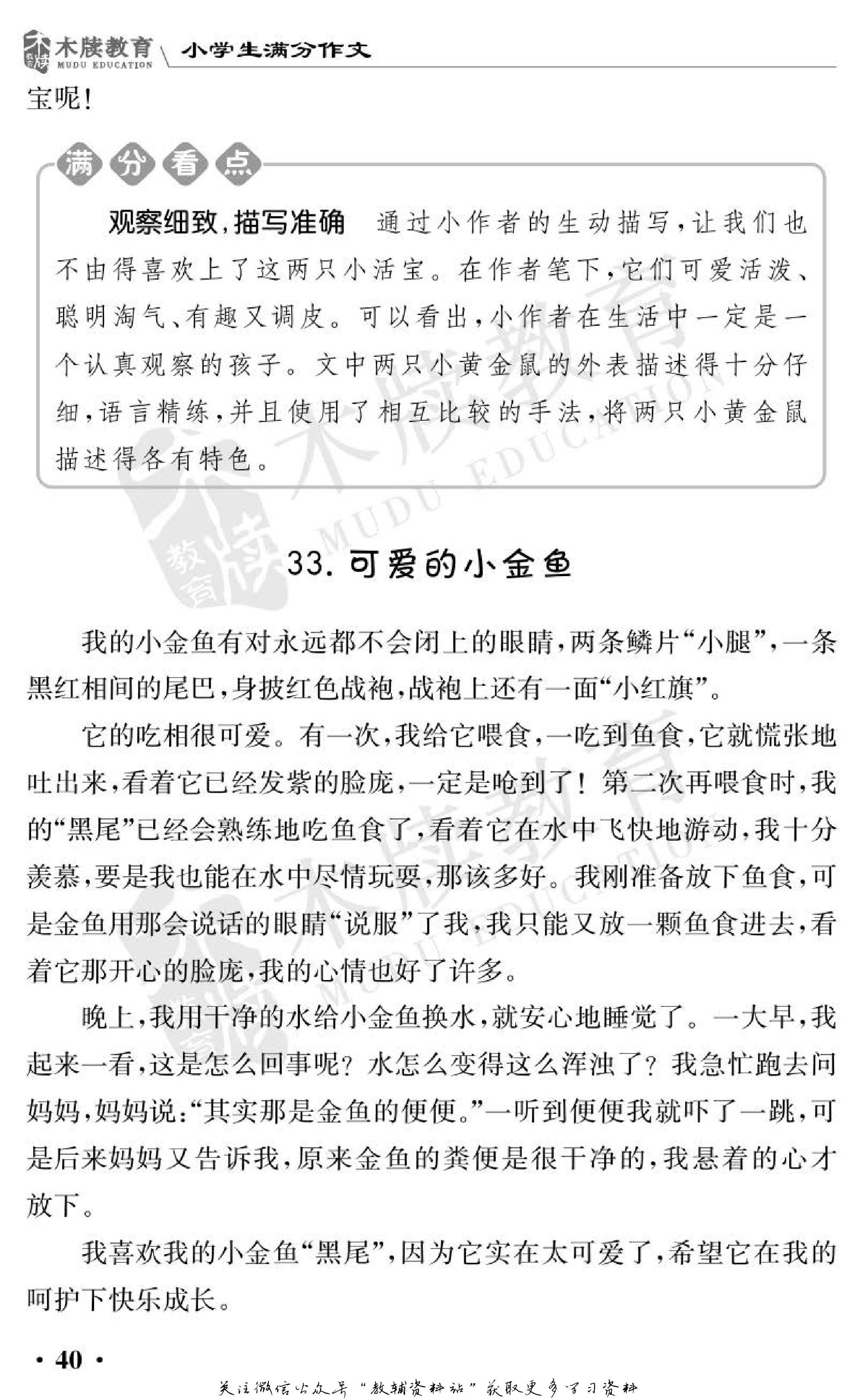 小学语文通关宝典,小学教育通关宝典