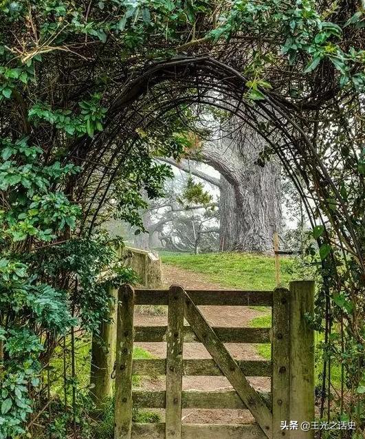 为什么说新西兰是大农村,新西兰怎么成为发达国家