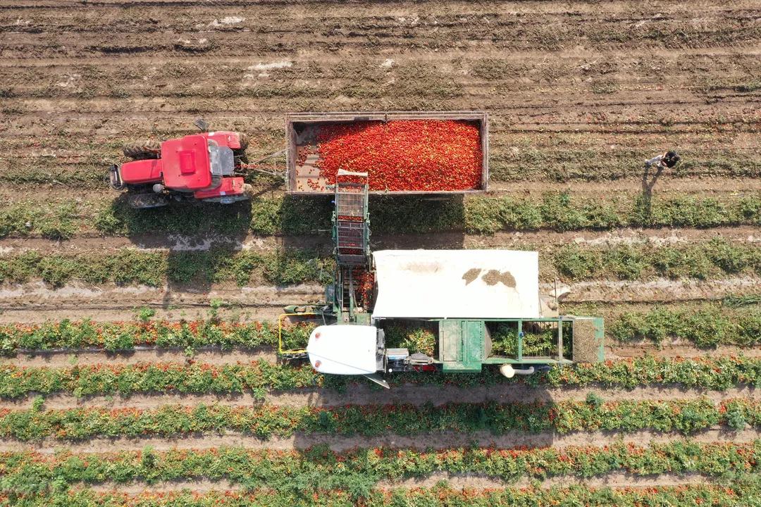小信说民生▎看三坪农场如何“点亮”幸福生活，“提速”乡村振兴！