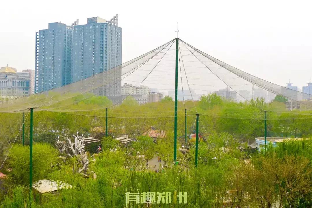 郑州市动物园开放,郑州市动物园什么时候去合适