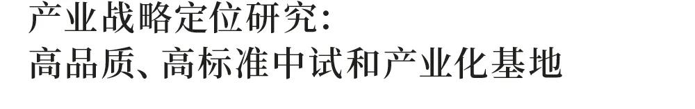 张江高新技术园区规划图,张江临港制造园