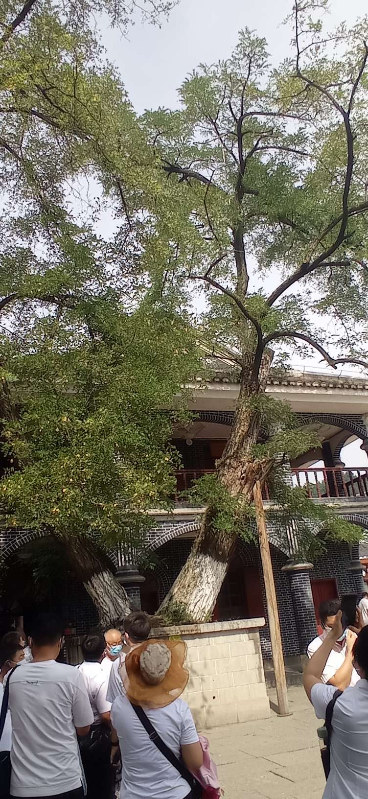 高血压朋友怎样安慰,高血压朋友八件事不能做