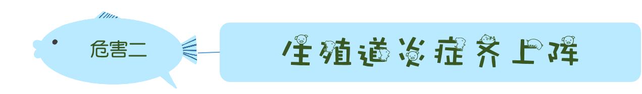 月经期间到底能不能同房?