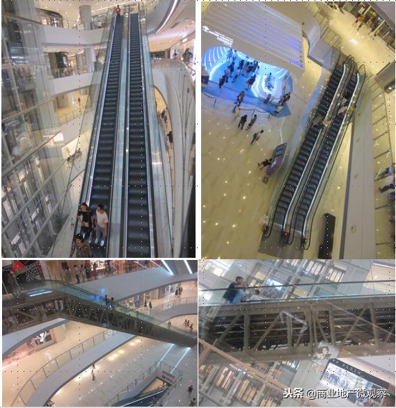 在成都看ifs熊猫,成都ifs上的爬墙大熊猫