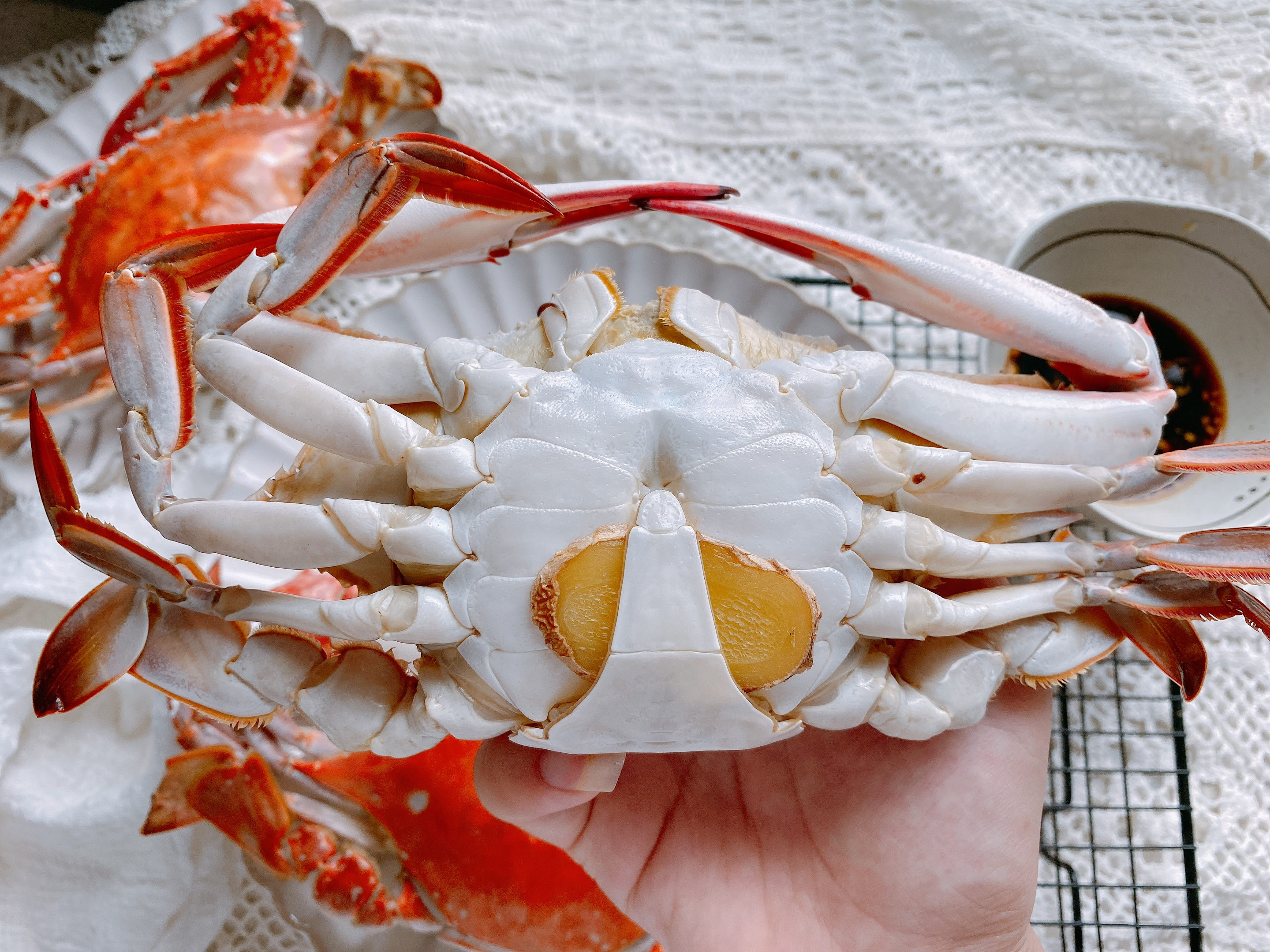 怎么挑选出好吃的梭子蟹,怎么挑梭子蟹肥美