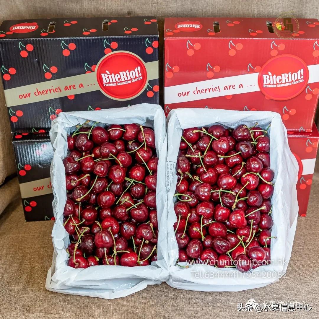 进口水果生意年入千万,批发水果月入百万