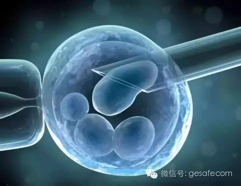 2023年云计算领域五大趋势,未来发展的行业云计算大数据