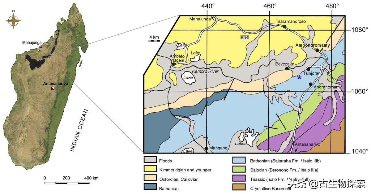 史前巨鳄陆地速度排行榜,史前巨鳄一排一排的从小到大