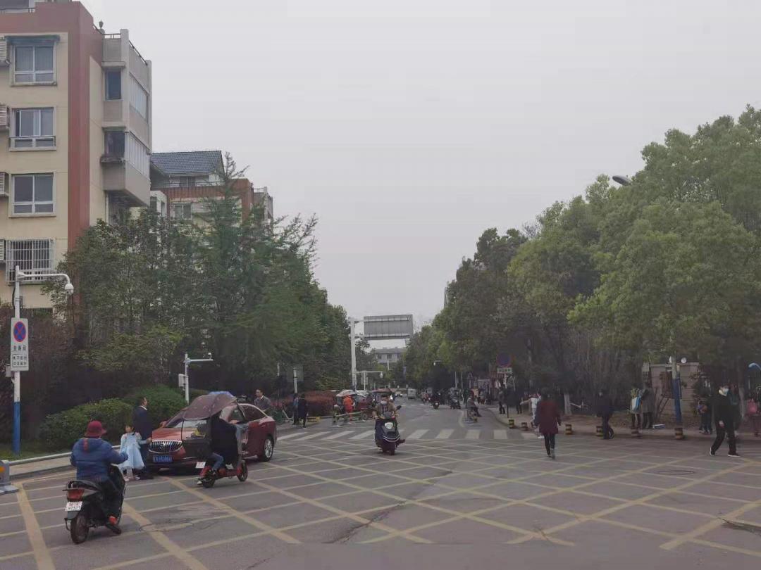 499万可以买得到的小别墅,手里有多少钱能买230万的别墅