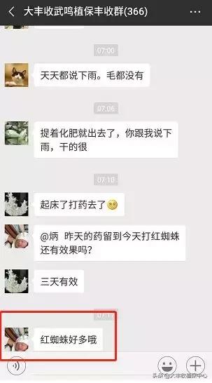 红蜘蛛物理防治妙招,红蜘蛛和壁锈虱打什么药