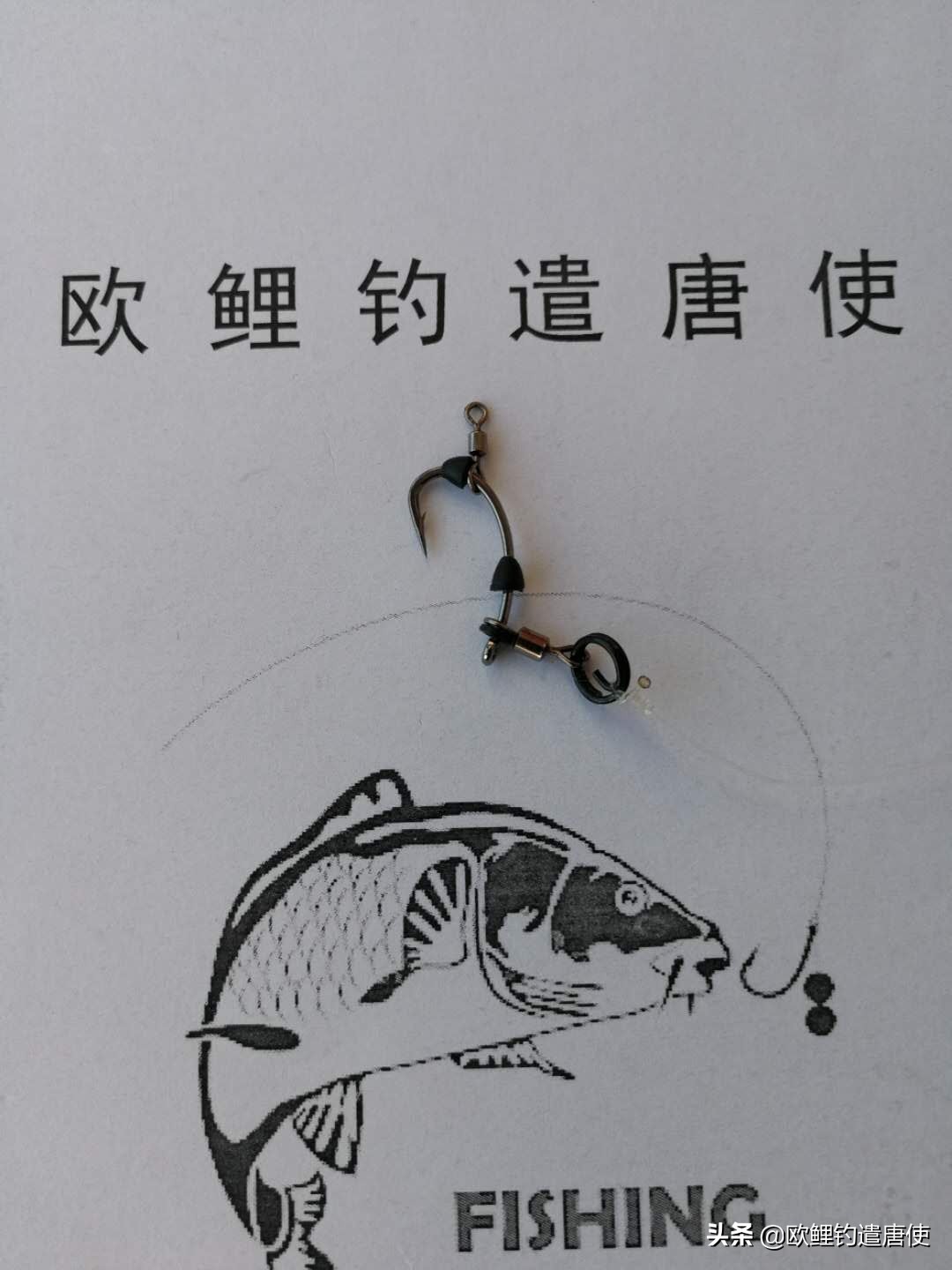 钓鱼为何都是小鱼,钓鱼不咬钩的多种原因和应对技巧