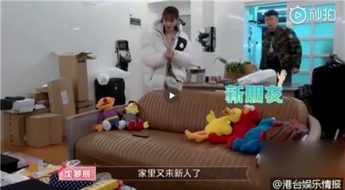 沈梦辰杜海涛公仔,沈梦辰吐槽杜海涛买的包包