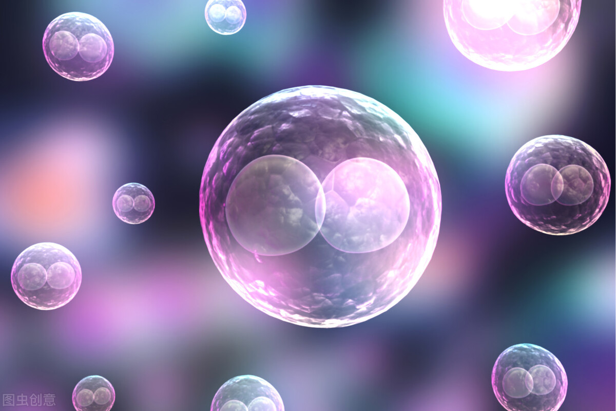 自己肚子里的孩子，竟然不是亲生的？神奇的“奇美拉现象”