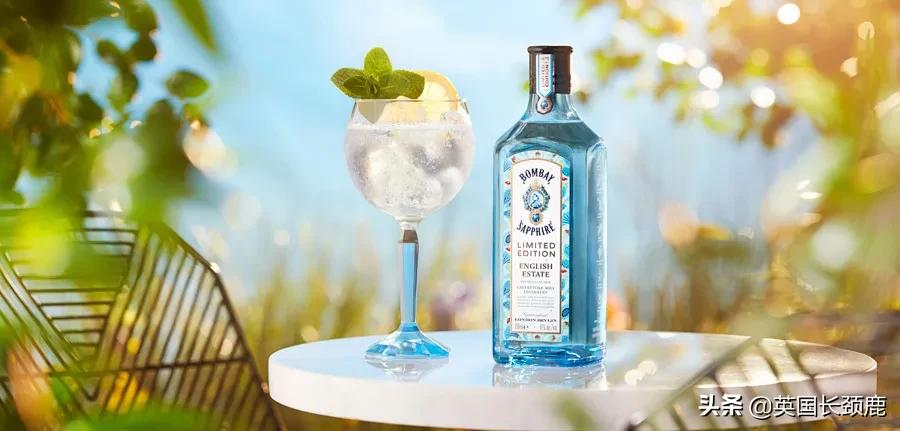 鸡尾酒调酒入门教程,鸡尾酒调酒基础知识入门和精通