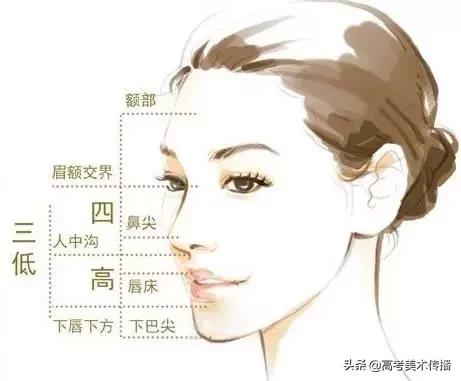 画画造型要到位,画画时怎样才能把形弄准