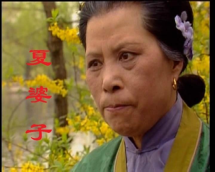 红楼梦里焦大骂宁国府什么了,红楼梦焦大骂宁国府第几回