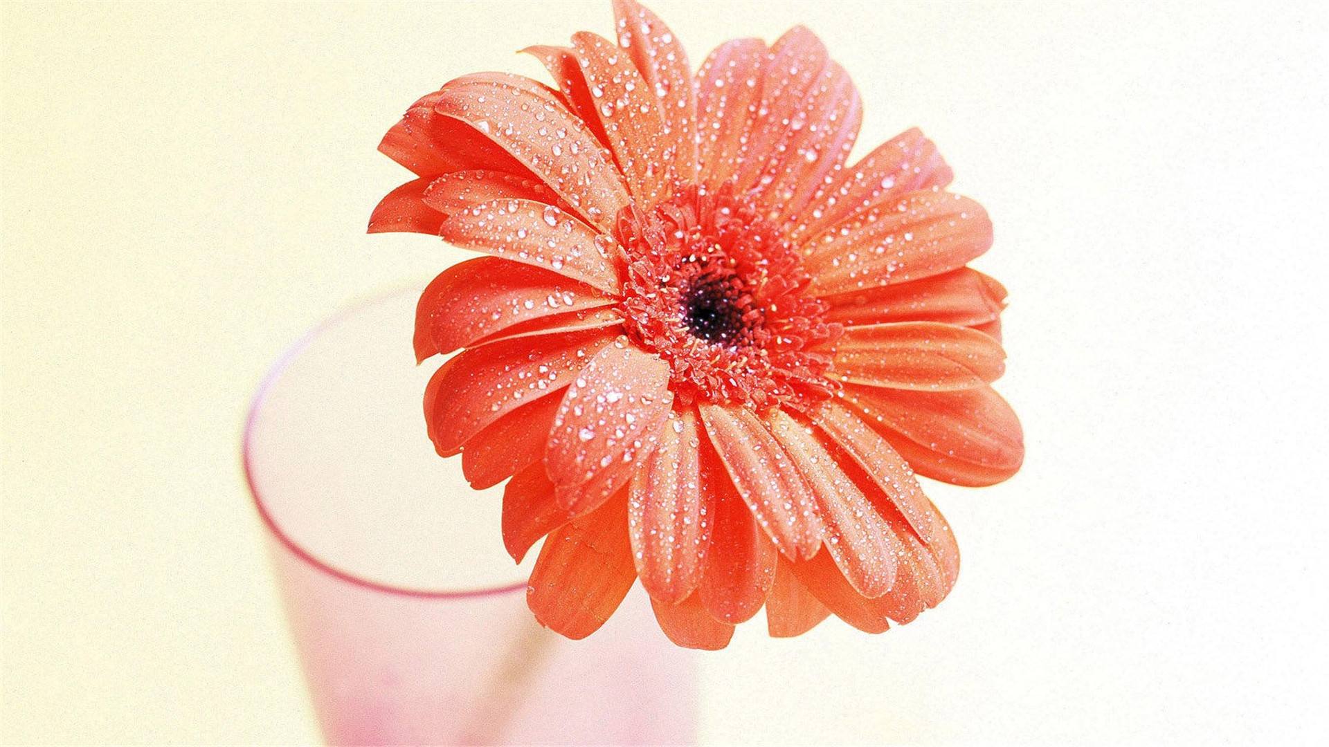 酷是一种态度不是消费,酷是一种态度