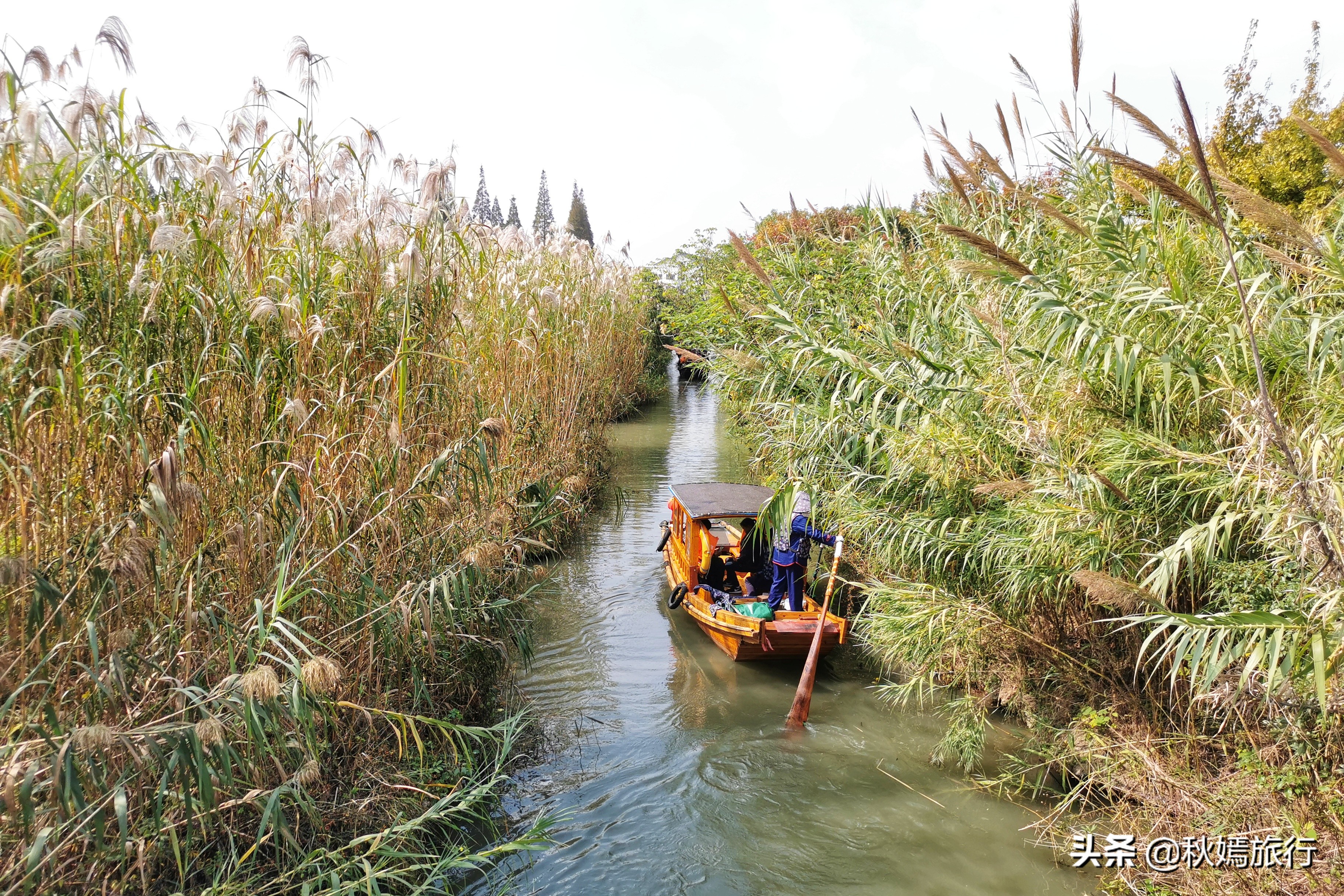 这座华东地区最大的湿地公园,拥有一千多亩芦苇荡,游客络绎不绝