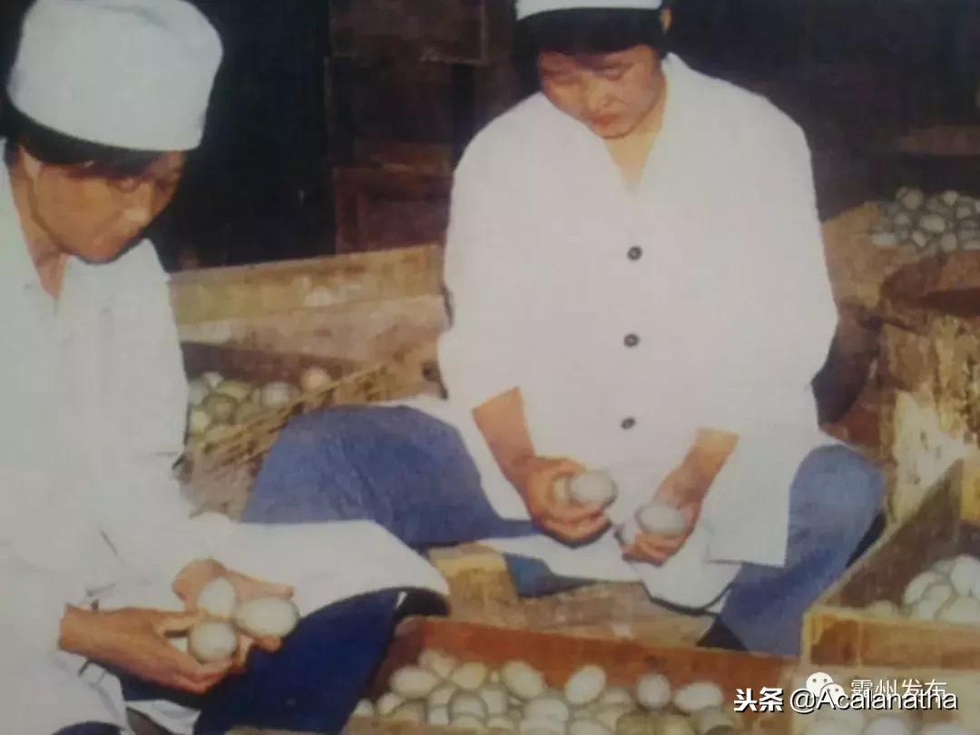 霸州土产公司老照片,霸州老城区图片