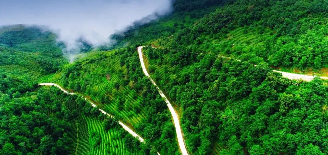 美丽云南第二季,美丽云南第二季临沧