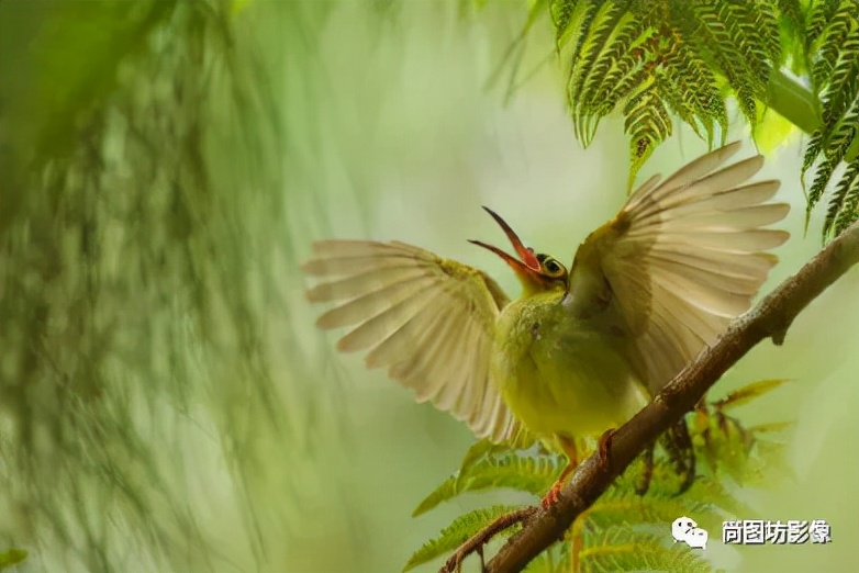 国际摄影展获奖作品,国际摄影获奖作品欣赏第88期