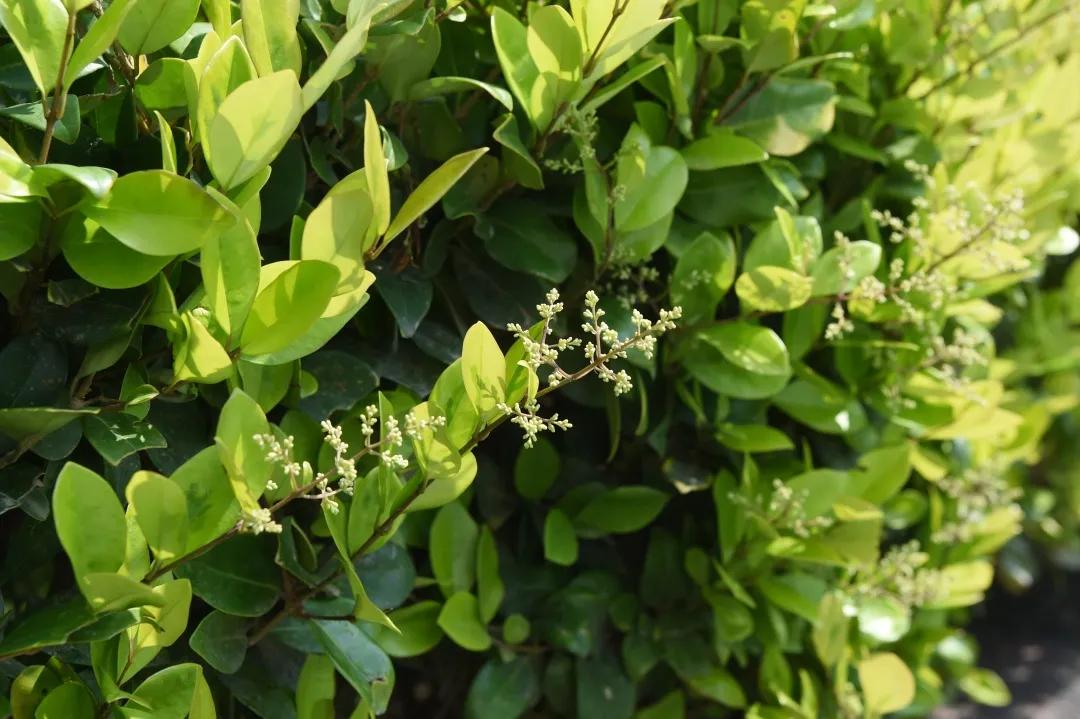 突然昏倒考虑哪些疾病,过于激动晕倒怎么处理