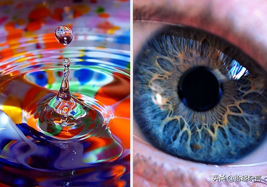 神秘的基因的秘密,神秘的遗传基因