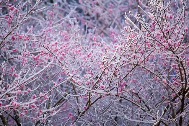 还有哪些描写祖国大好河山的古诗,关于祖国大好河山的古诗词有哪些