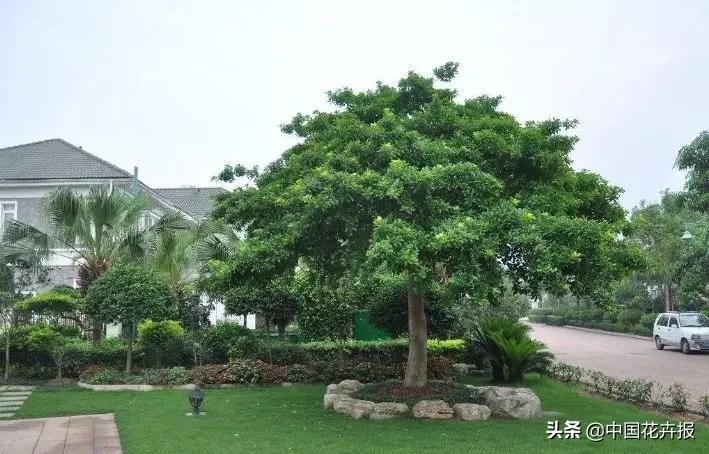 凭运气赚的钱凭本事亏完了吗,凭运气挣来的钱凭本事亏掉了