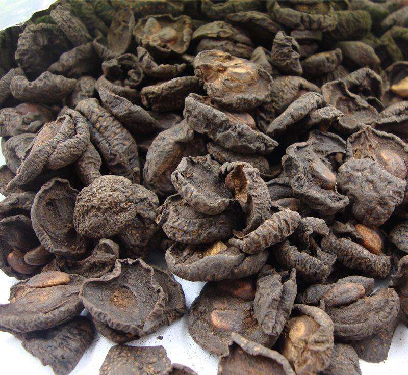 小儿久咳不愈的特效好方法,临床治咳八法口诀