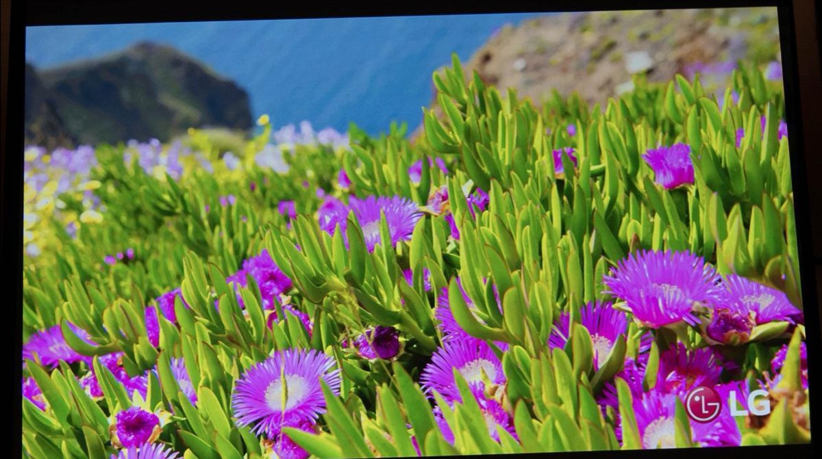 瞬间提升客厅格调，电影1895电影机体验