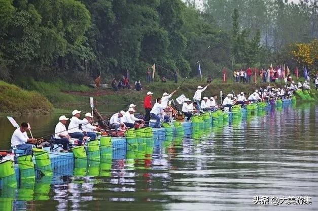 浍沟镇鸬鹚文化节,灵璧鸬鹚捕鱼节