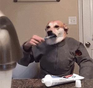 5元和25元的牙膏到底有什么区别,几块和几十块钱的牙膏有什么区别