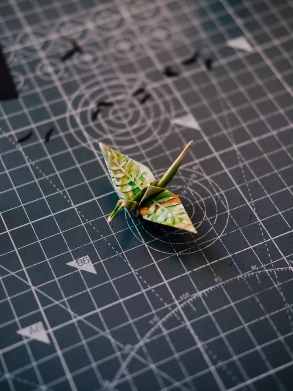 1000天1000只纸鹤，他折的纸鹤让自己走出抑郁……