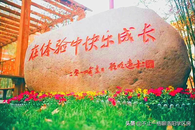 洛阳学区房45万以下,2022年洛阳学区房划片信息