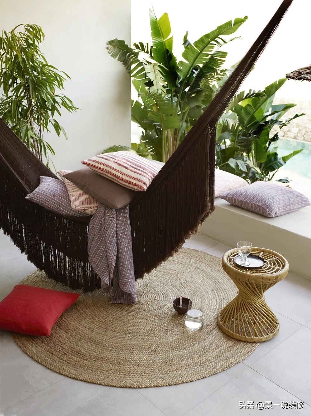 室内植物的摆放设计及养护,室内什么盆栽植物好养护呢