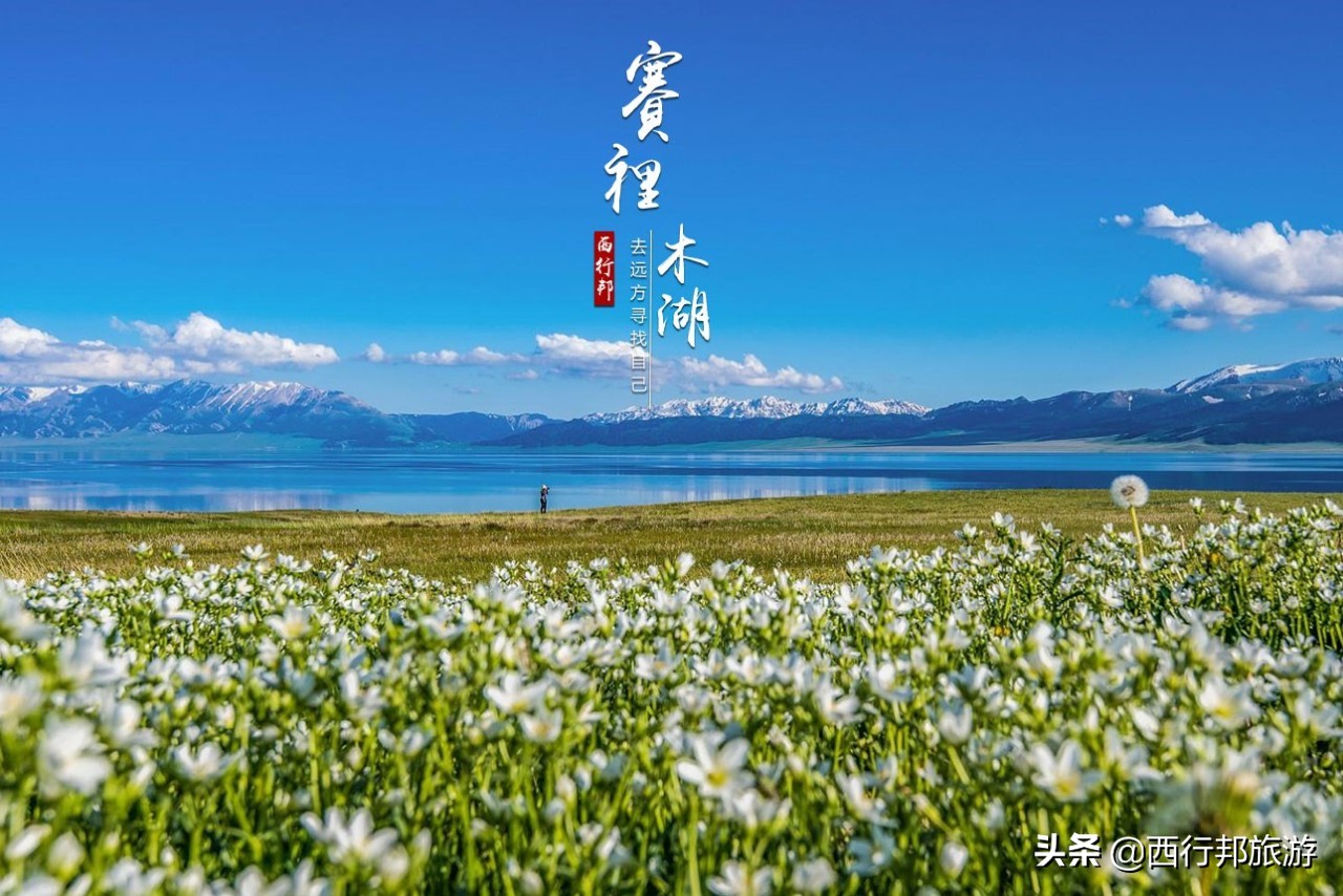 哼，又想「骗」我去*疆新**旅游！