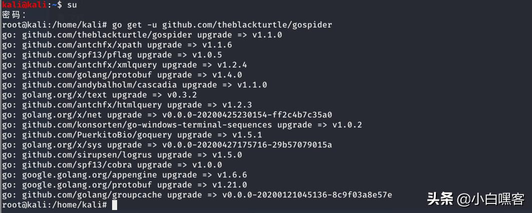 Web黑客近年神作Gospider:一款基于Go语言开发的Web爬虫,要收藏