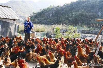 巴马特色美食火麻仁汤,巴马瑶寨火麻汤