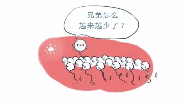 夫妻双方正常情况下怀孕的概率,夫妻都正常怀孕几率有多大