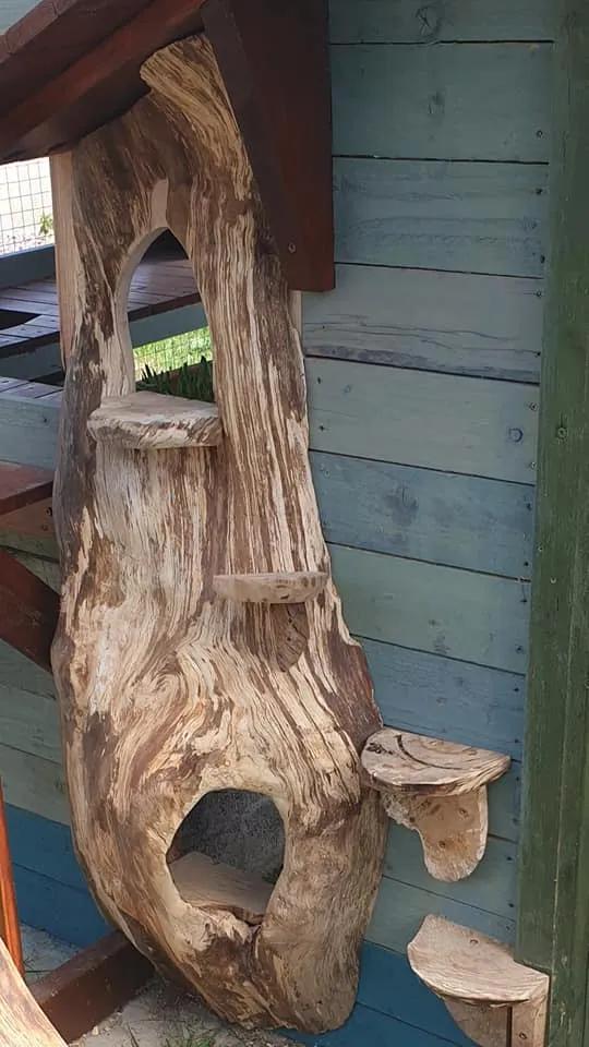 拥有“私家园林”，游遍世界各地，这些猫咪的生活太让人羡慕了吧