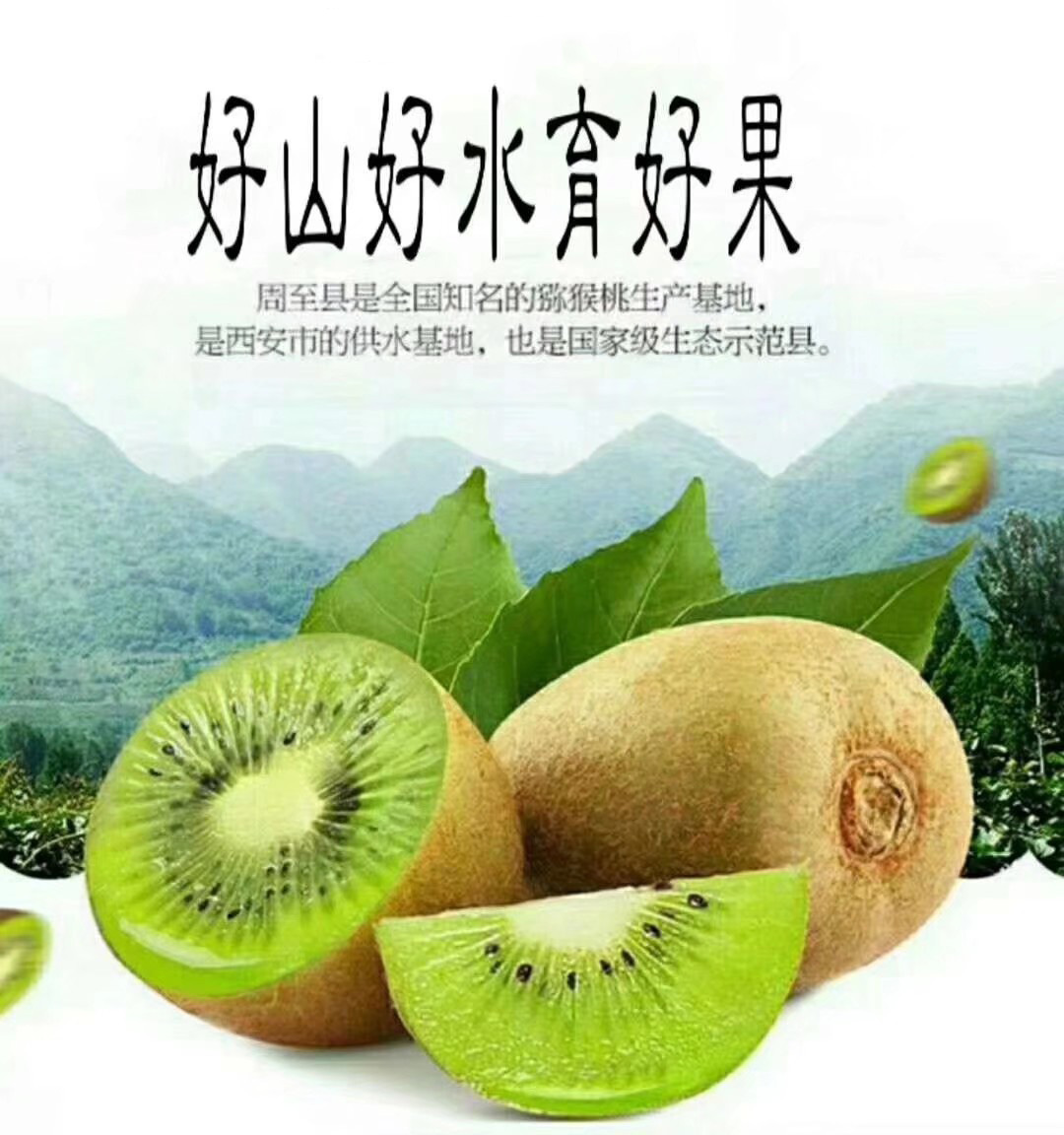 陕西秦岭的毛桃,秦岭毛毛桃在哪里