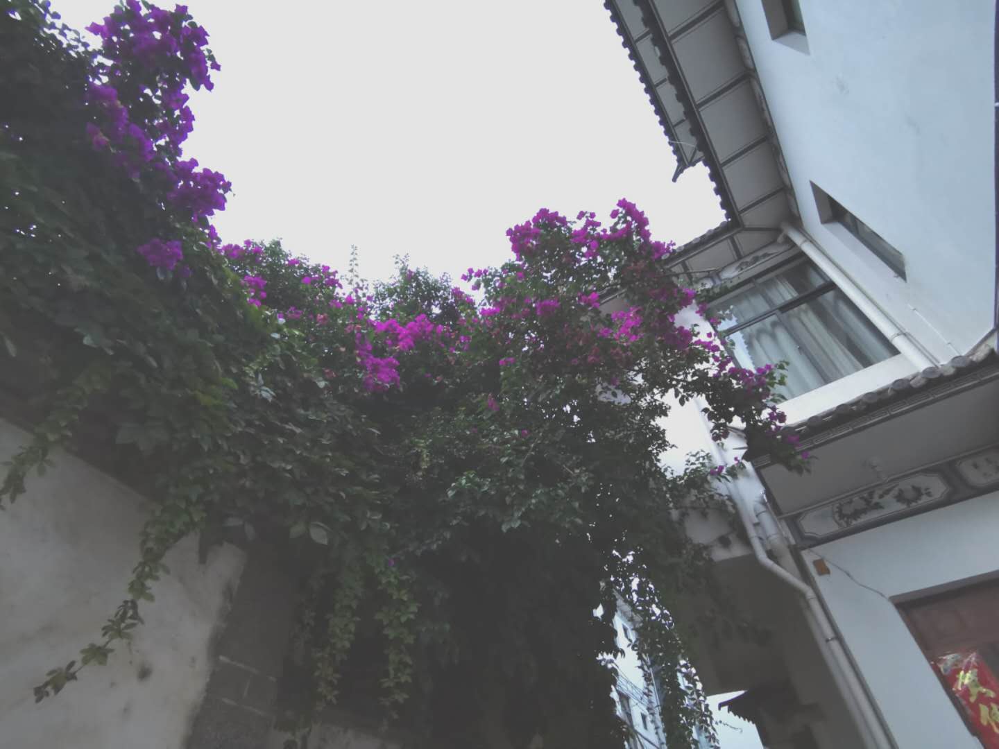 宅家又如何?翻开相册!浙大学子带你进行回忆式线上旅游!