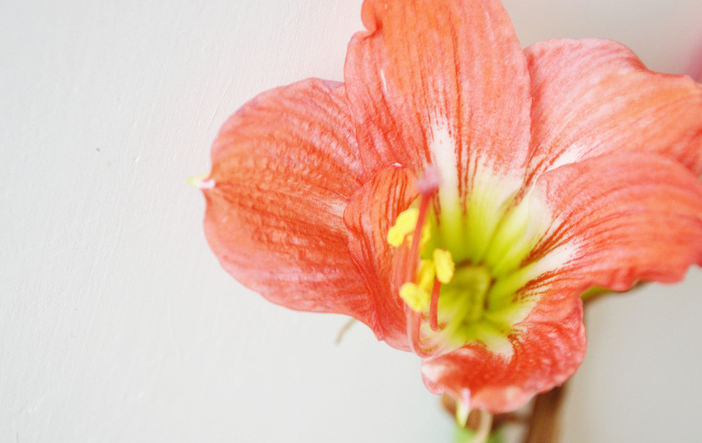 十二星座男的内心世界图片,12星座男生藏在内心里的事