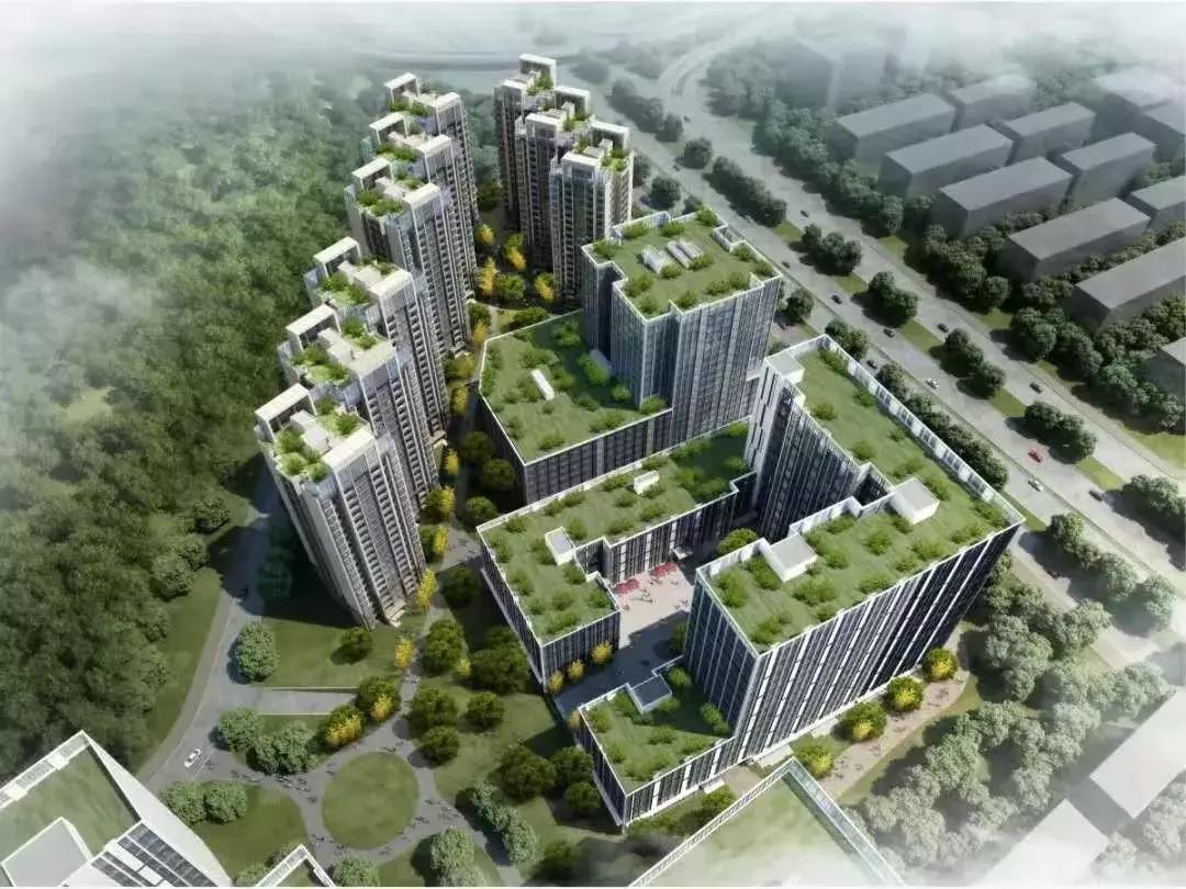 榫欏崕浜屾湡鐗╀笟,榫欏崕2瀛楀ご浣忓畢