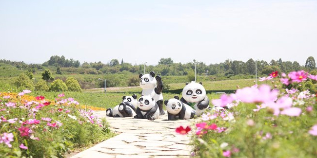 坐拥“中优”“南拓”双红利!