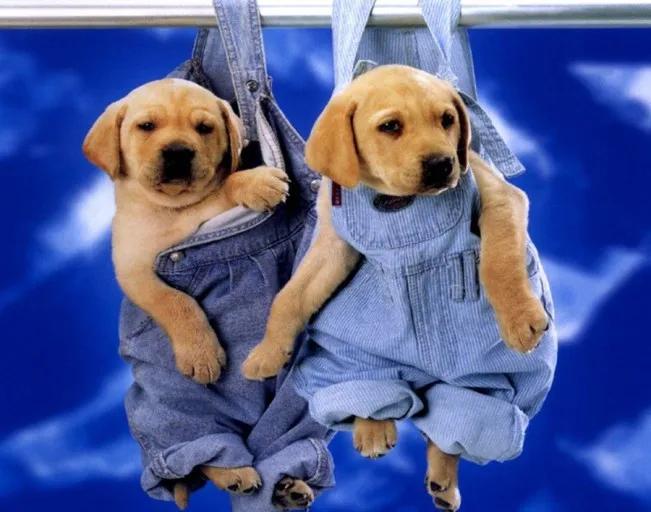 如何让自己放松快乐,如何让自己放松身体