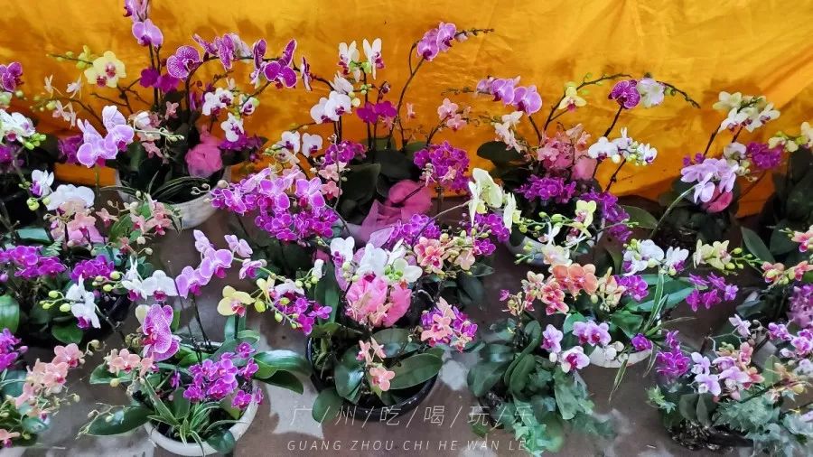 快收藏攻略,快收藏干货