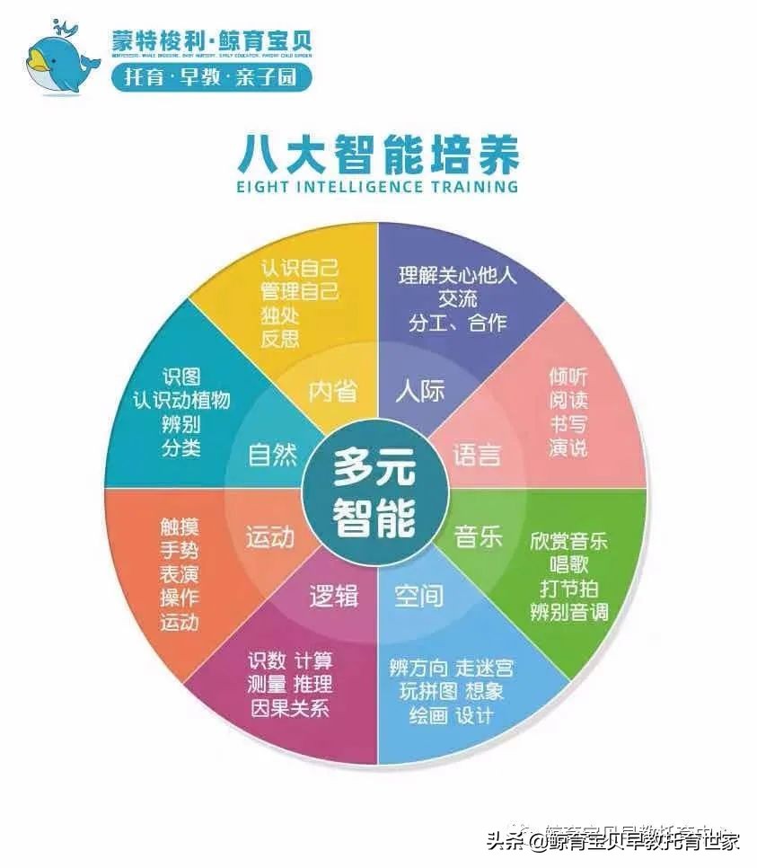 小橙子成长日记,我和橙子的成长日记